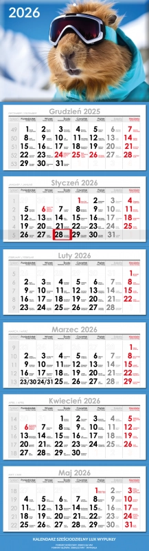 Sześciodzielny Lux Wypukły